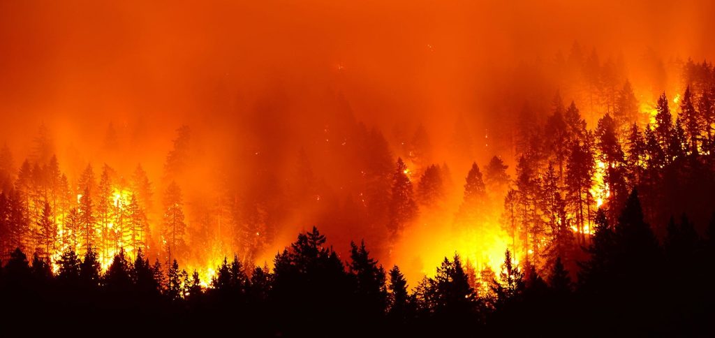 カリフォルニアの山火事は、終末の兆候なのか？